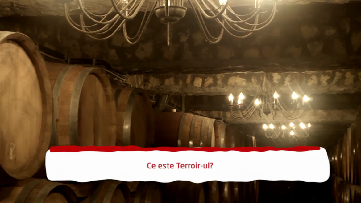 Dictionar Terroir
